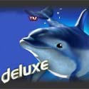 Игровые автоматы Жемчужена Дельфинов (улучшеный) - Dolphin's Pearl Deluxe