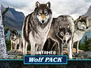 Игровые автоматы Untamed Wolf Pack (Волки), здесь играют бесплатно