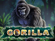 Очередной видеослот Gorilla для онлайн игры на компьютере